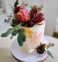 IMG_1073 Copy
