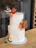 IMG_7973 Copy